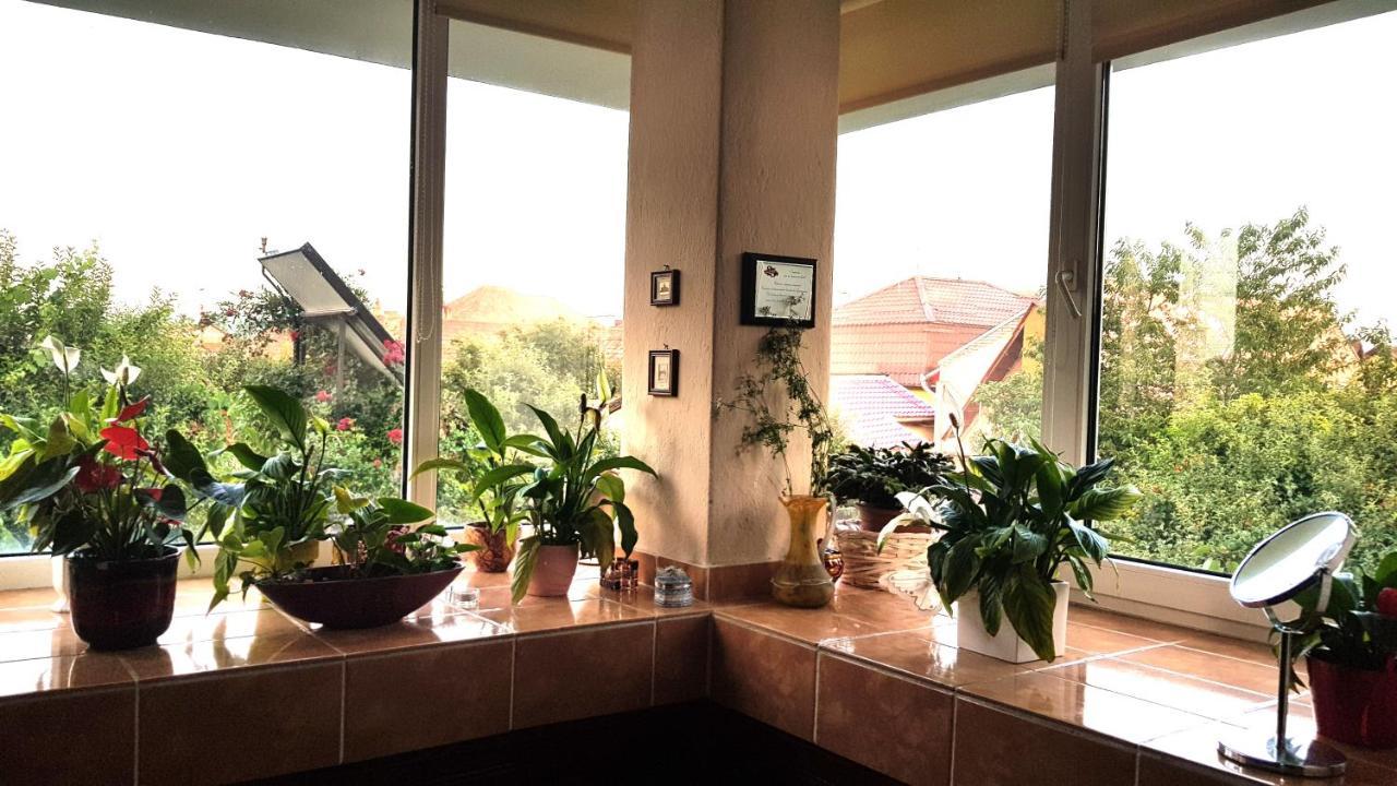 Appartement Casa Zora à Alba Iulia Extérieur photo
