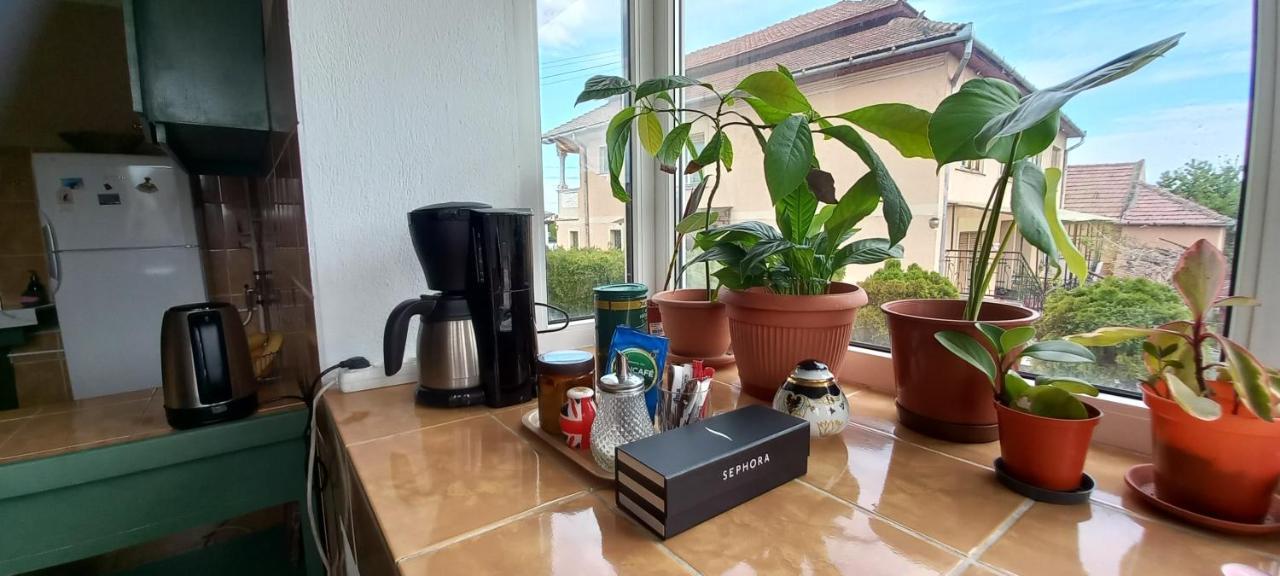 Appartement Casa Zora à Alba Iulia Extérieur photo